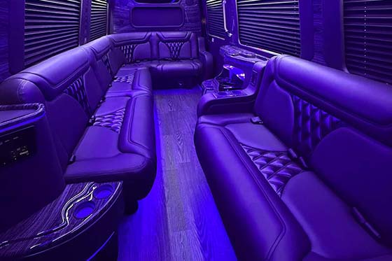 Sprinter limo van