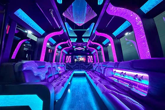 dearborn limousine with built-in bars
